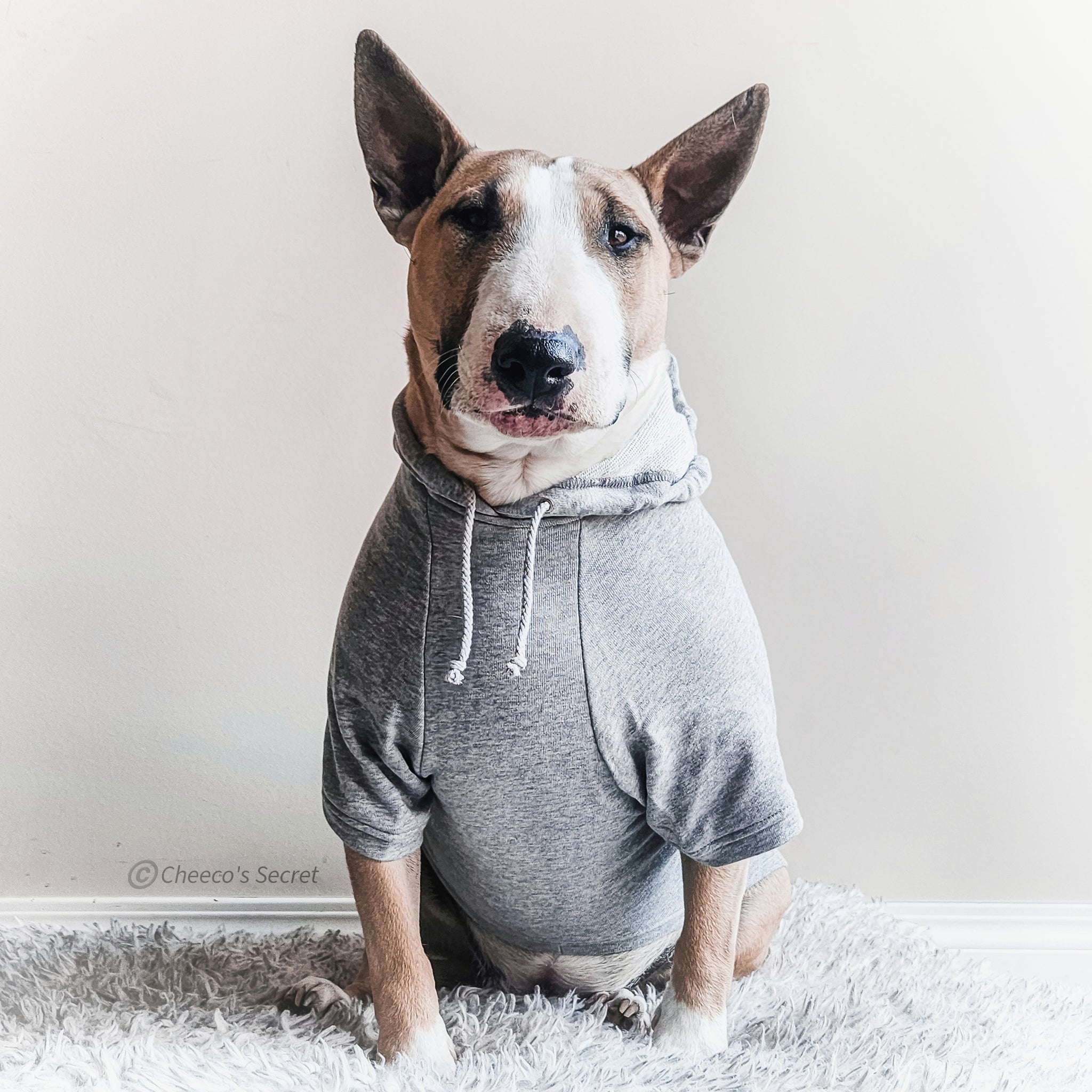 The Puppers Hoodies