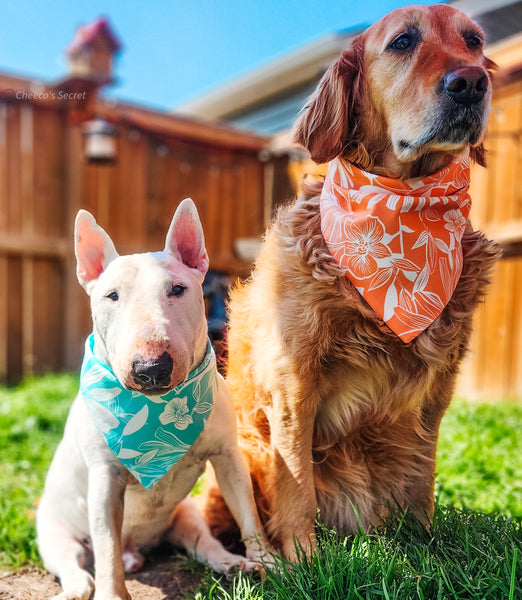 Hawaiian Turquoise Snap-On Bandana