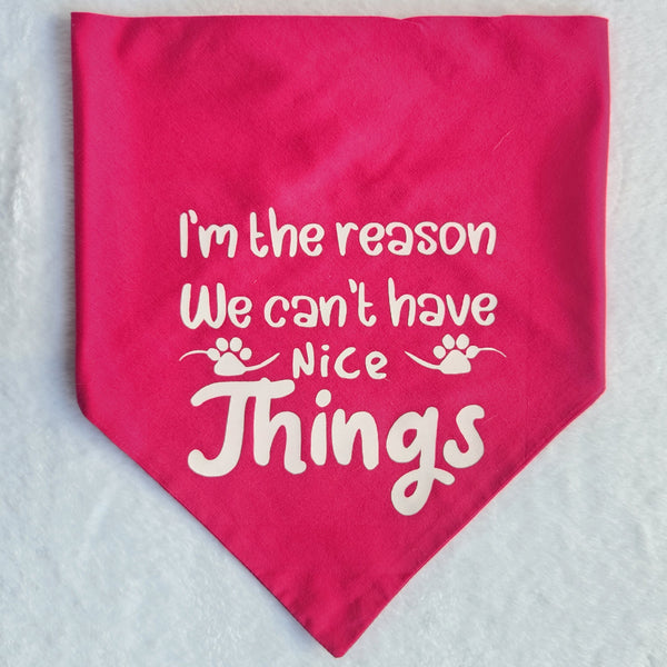 I'm The Reason We Can't Have Nice Things Snap-On Bandana