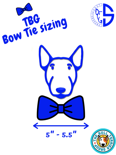 The Bull Terrier Group Bow Tie - Blue