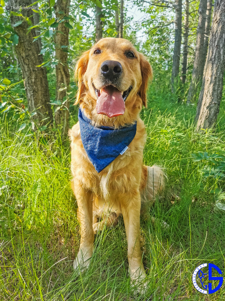 Denim Snap-On Bandana