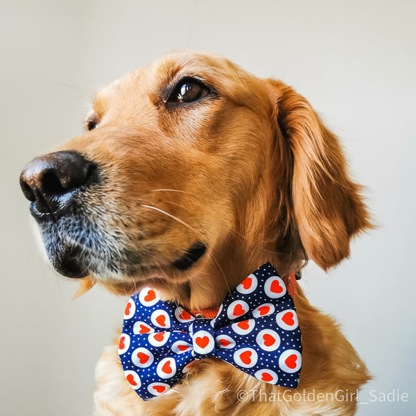 Hearts Bow Tie