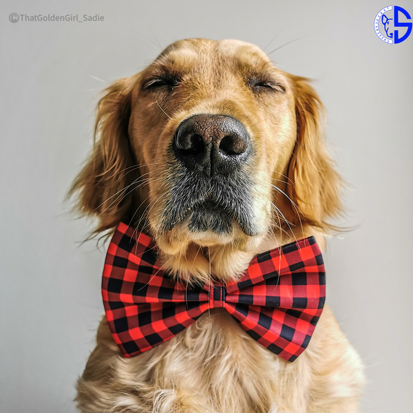 Plaid Bow Ties