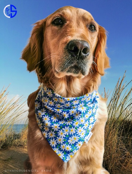 Daisy Snap-On Bandana